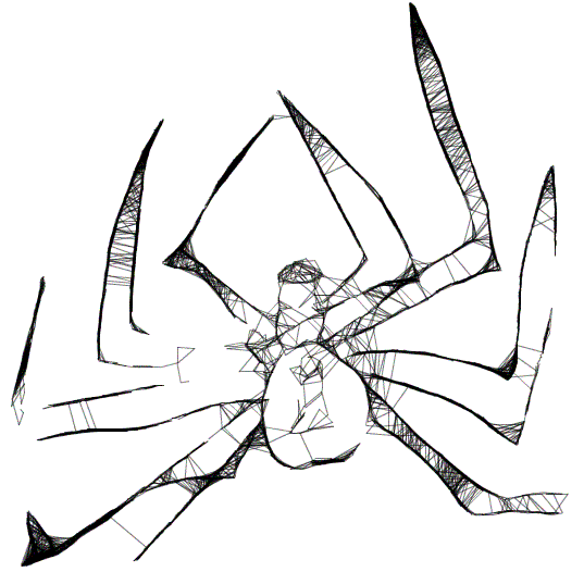 Spider